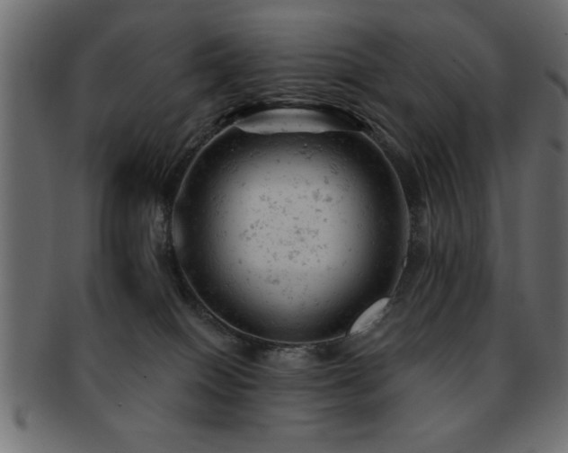 X0000093170086200709261537