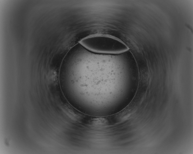 X0000093170087200709261537