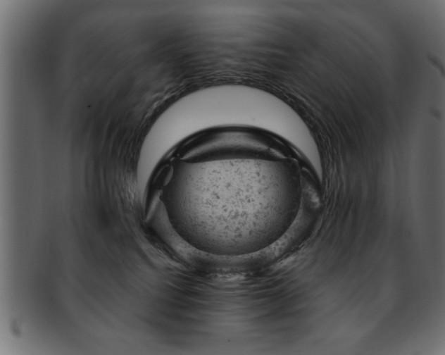 X0000093170088200709261537