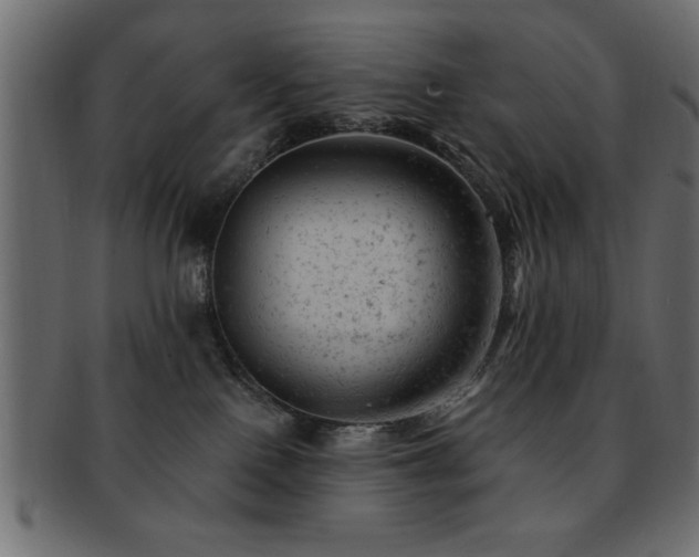 X0000093170090200709261537