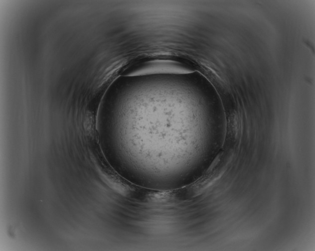 X0000093170092200709261537