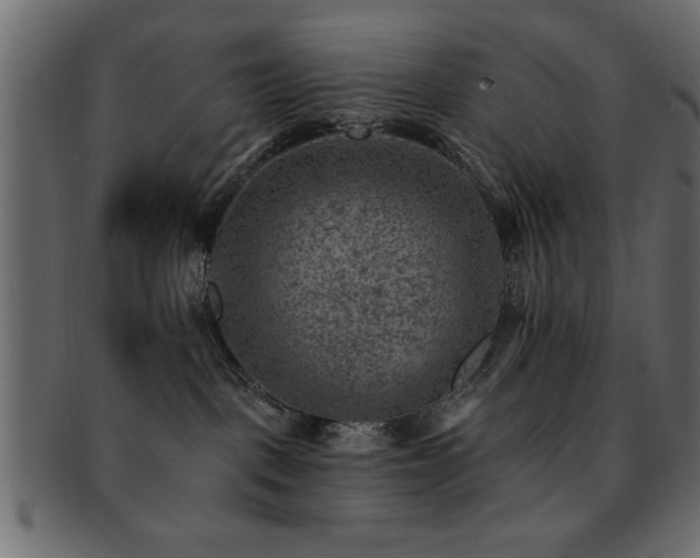X0000093170093200709261537
