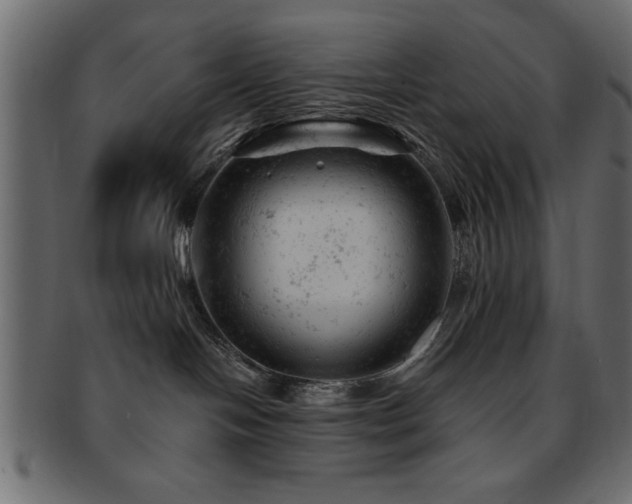 X0000093170094200709261537
