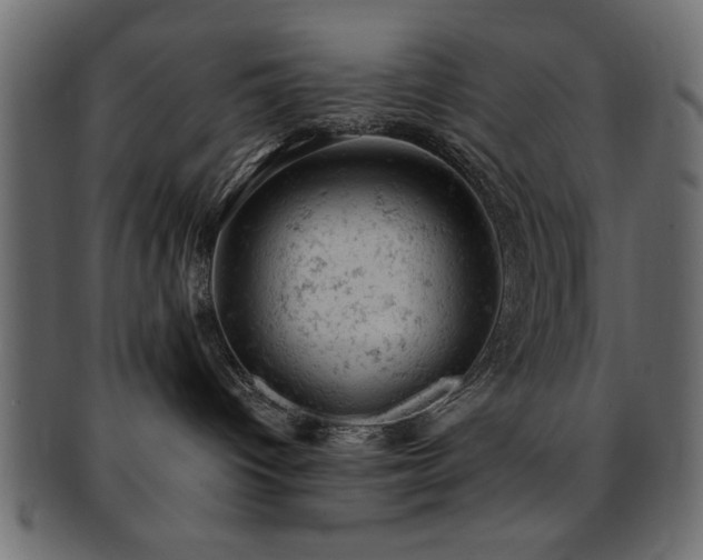 X0000093170096200709261537