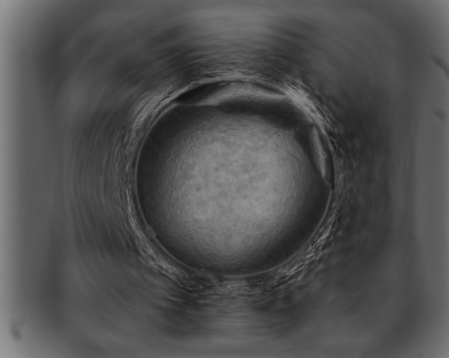 X0000093170097200709261537