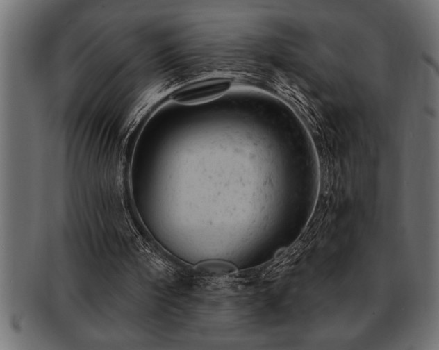 X0000093170098200709261537