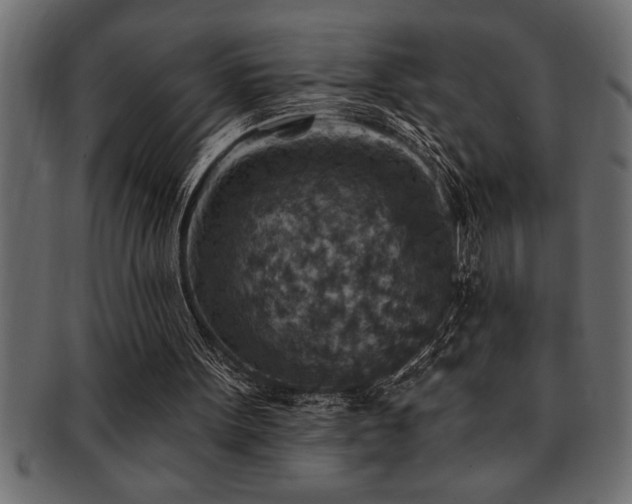 X0000093170099200709261536