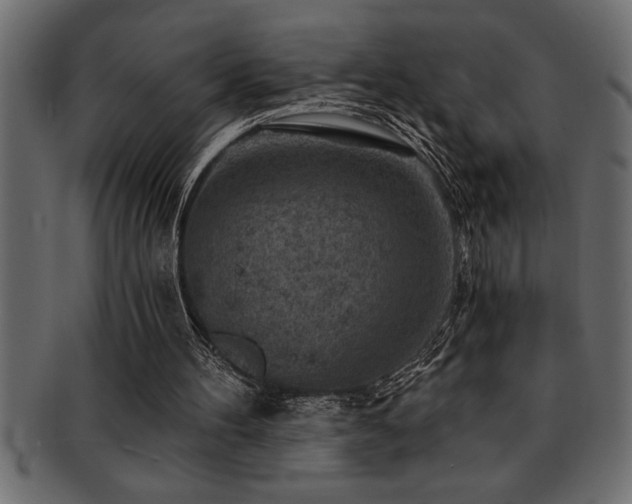 X0000093170100200709261536