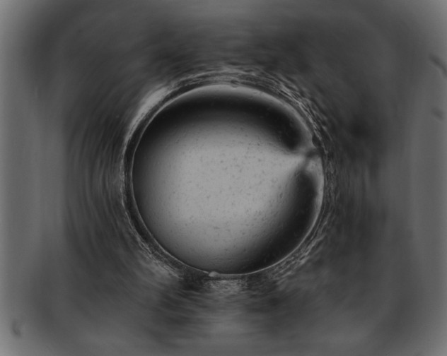 X0000093170102200709261536
