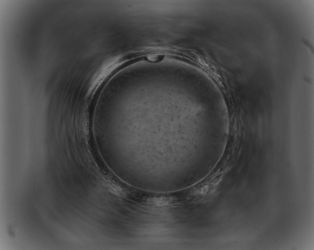 X0000093170103200709261536