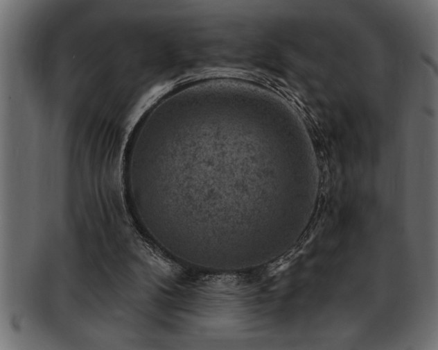 X0000093170104200709261536