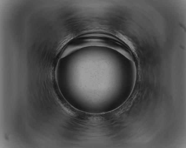 X0000093170105200709261536