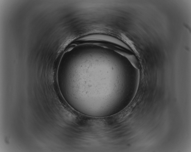 X0000093170106200709261536