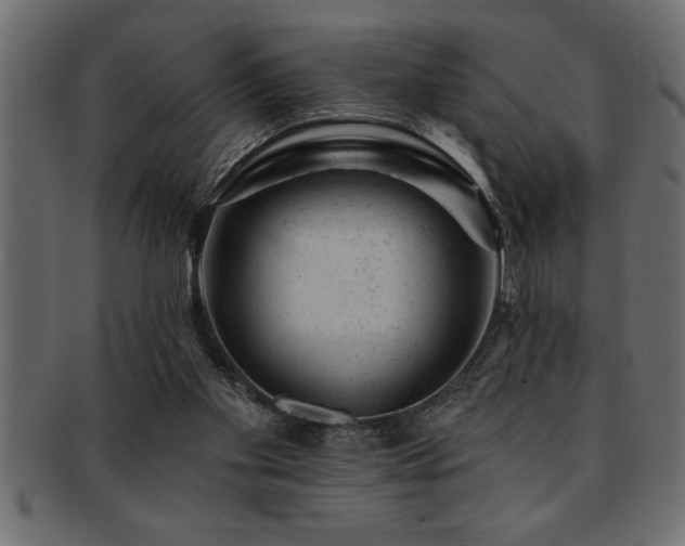 X0000093170109200709261536