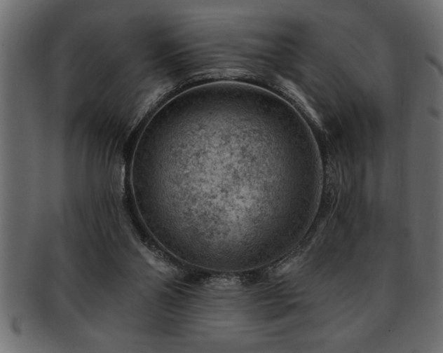 X0000093170110200709261536