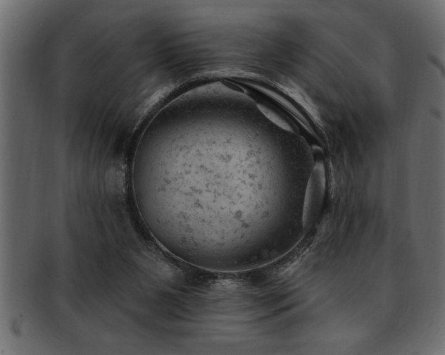 X0000093170111200709261536