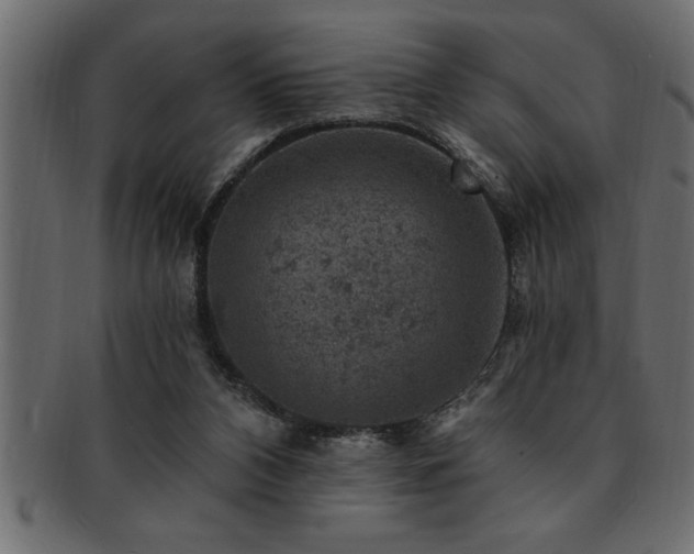 X0000093170112200709261536