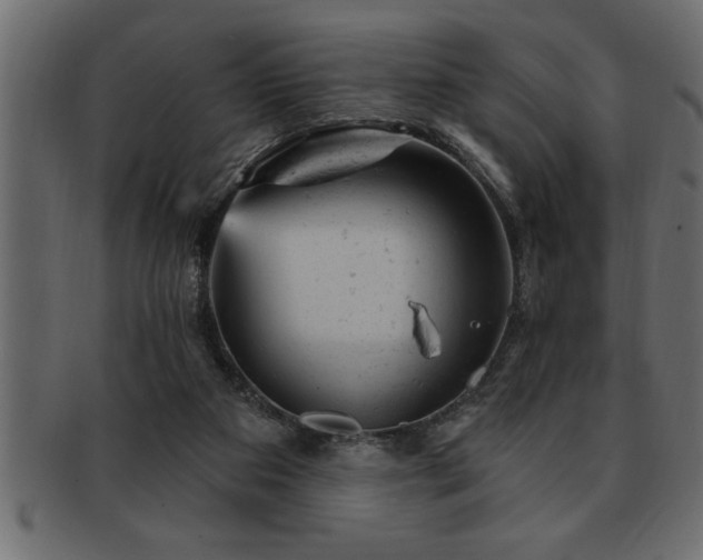 X0000093170113200709261536