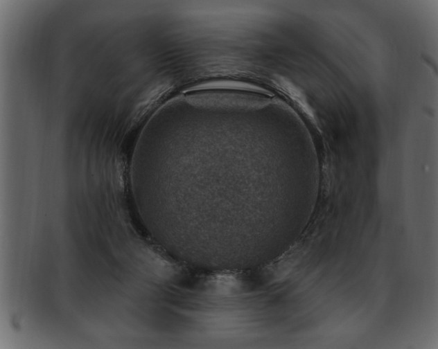 X0000093170114200709261536