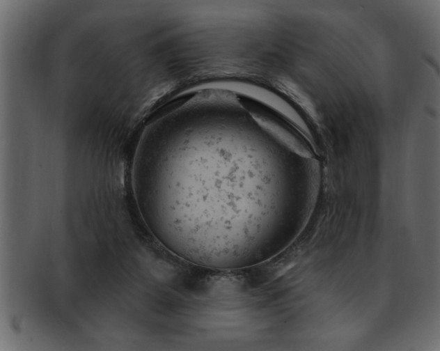 X0000093170115200709261536