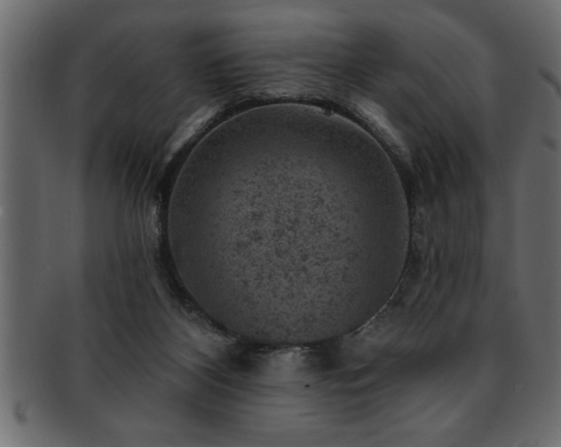 X0000093170116200709261536