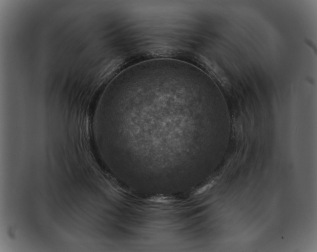 X0000093170117200709261536