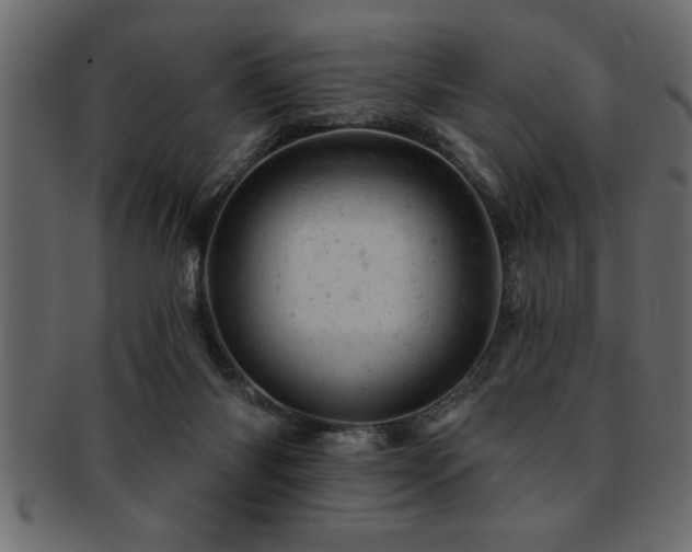X0000093170118200709261536