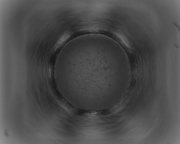 X0000093170120200709261536