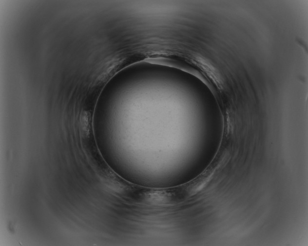X0000093170121200709261536