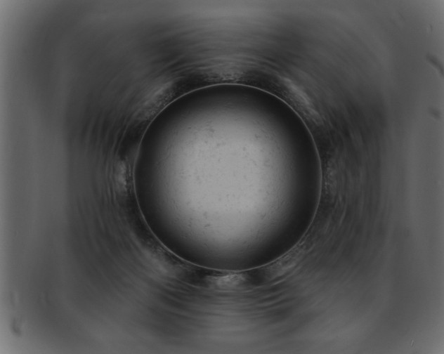 X0000093170122200709261536
