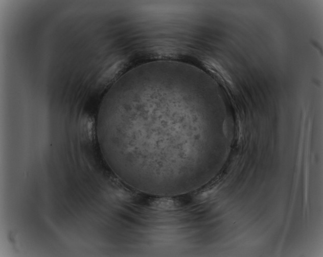 X0000093170123200709261536