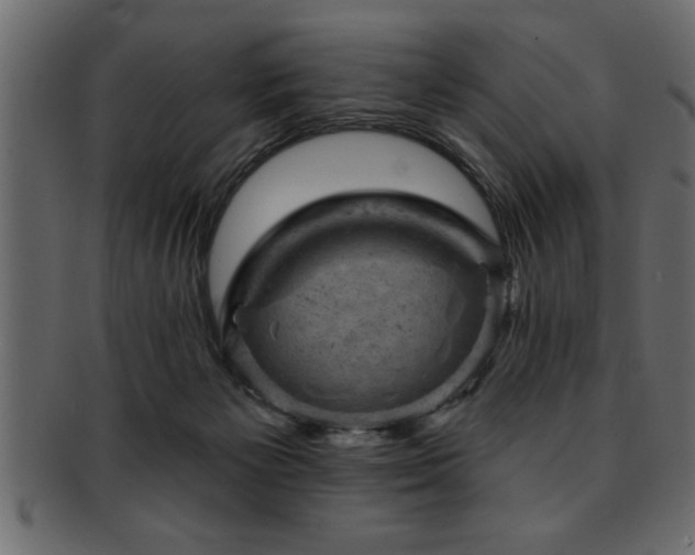 X0000093170125200709261536