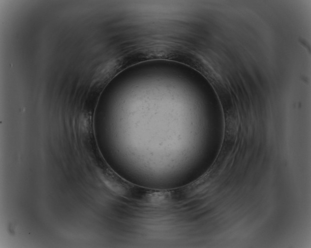 X0000093170126200709261536