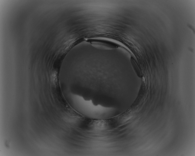 X0000093170127200709261536