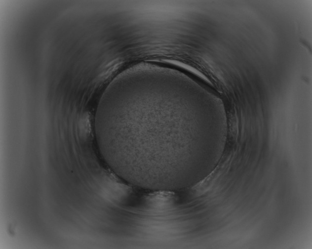 X0000093170128200709261536