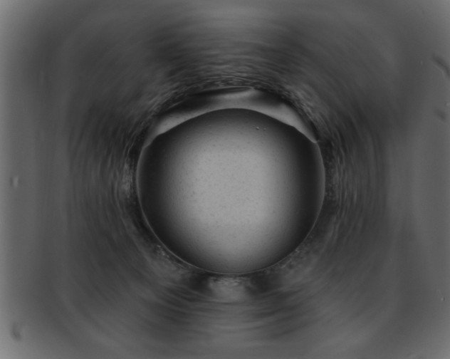 X0000093170129200709261536
