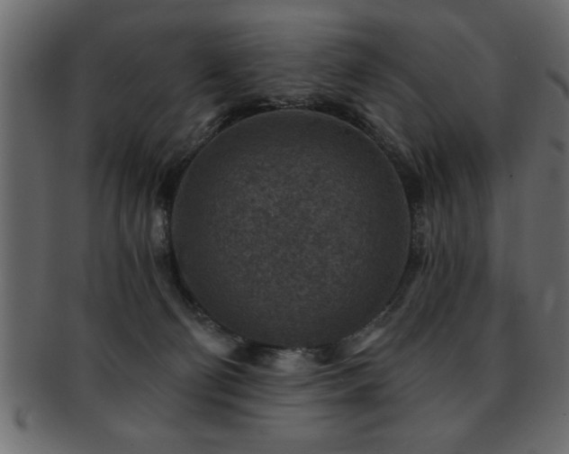 X0000093170130200709261536