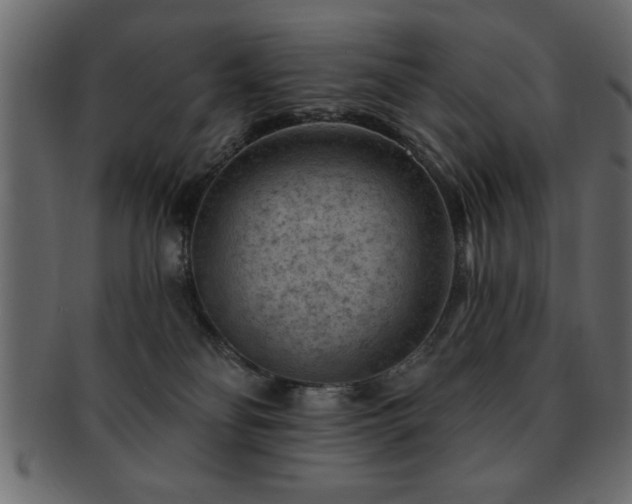X0000093170134200709261536
