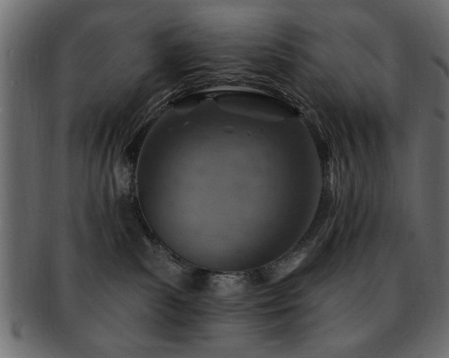 X0000093170139200709261536