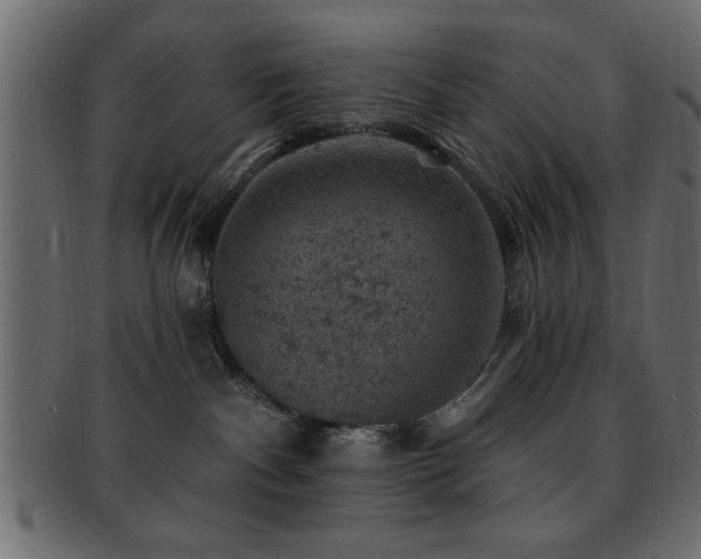 X0000093170140200709261536