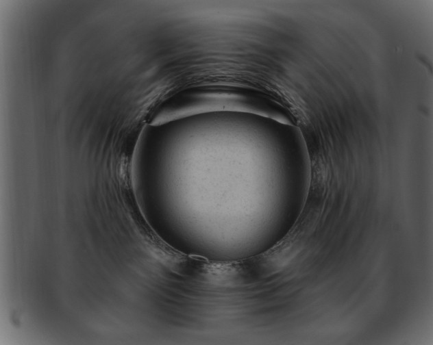X0000093170141200709261536