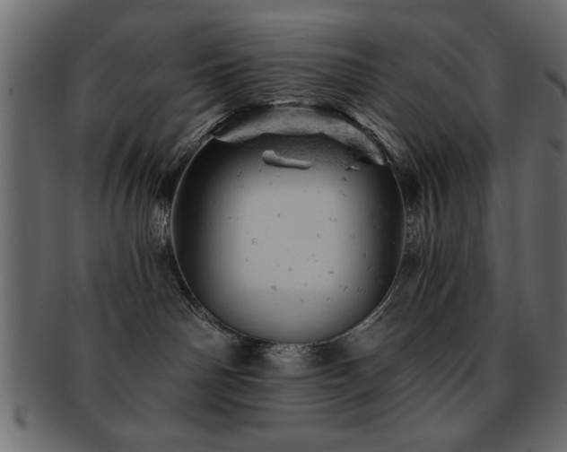 X0000093170142200709261536