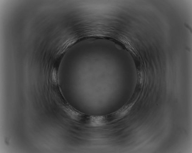 X0000093170143200709261536