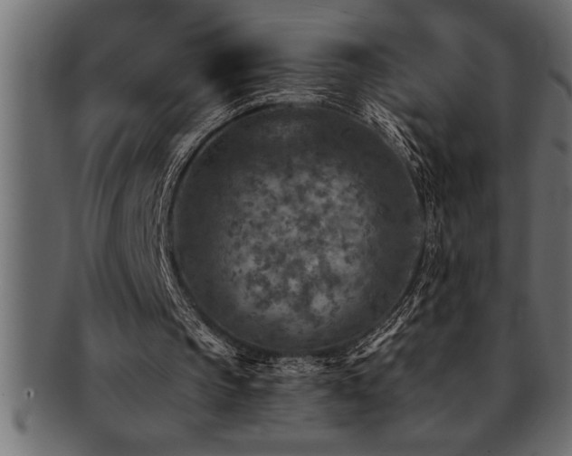X0000093170145200709261535