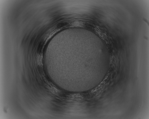 X0000093170146200709261535