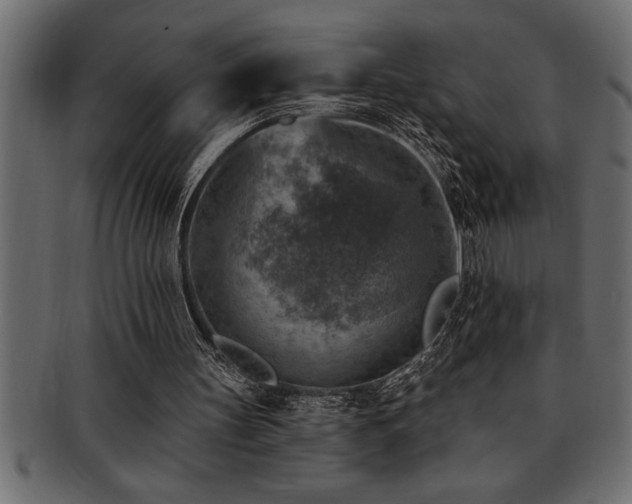 X0000093170147200709261535