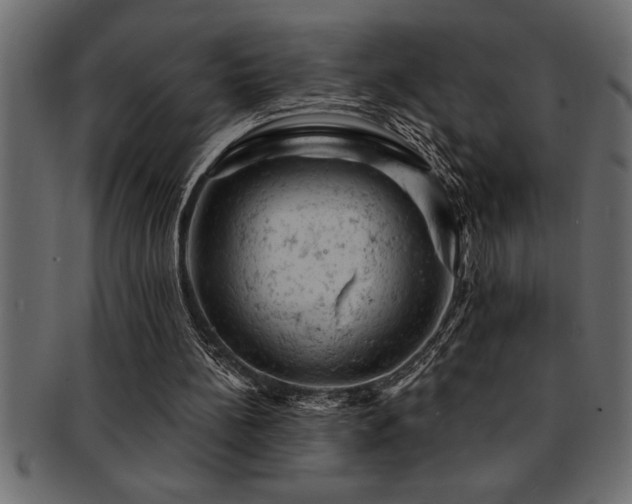 X0000093170148200709261535