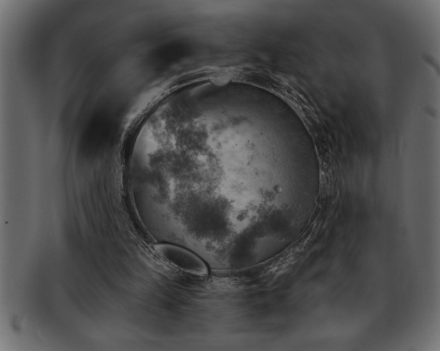 X0000093170149200709261535