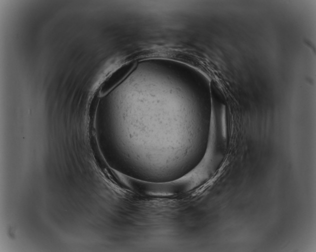X0000093170150200709261535