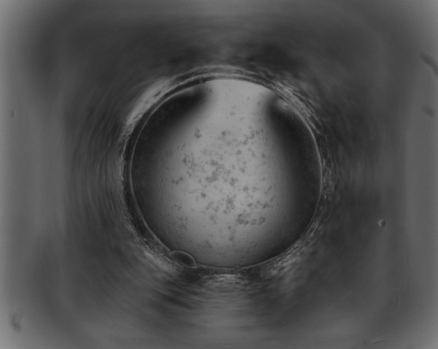 X0000093170151200709261535